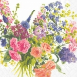 image-category-572