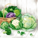 image-category-573