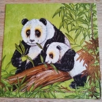 image-category-578